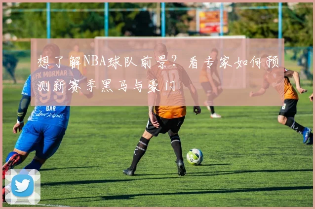 想了解NBA球队前景？看专家如何预测新赛季黑马与豪门